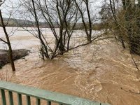 Hochwasser 29.01.2021