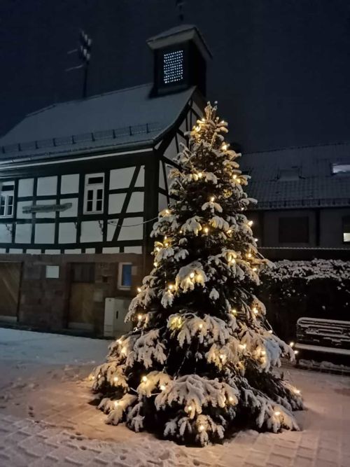 Weihnachtsbaum am Dalles im Schnee