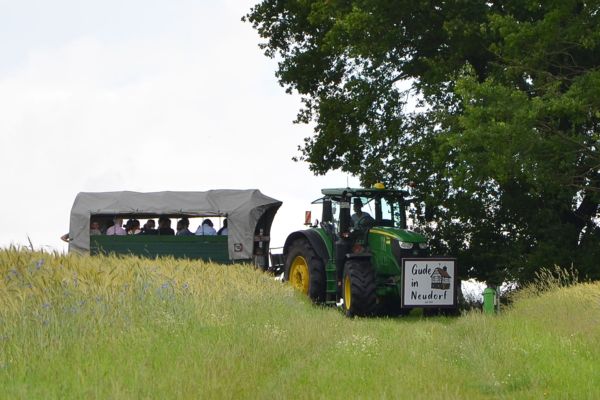 Eintreffen am Weinberg