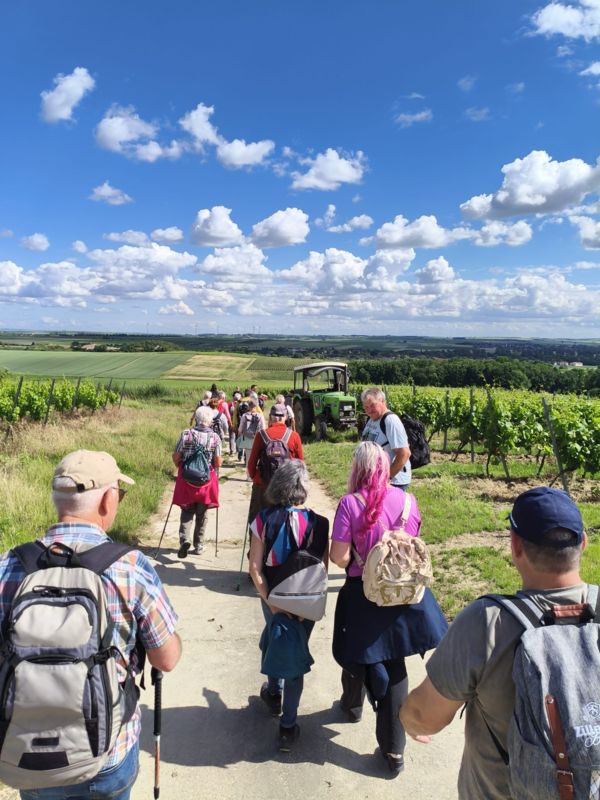 Auf der Zornheimer Hiwweltour Auf der Zornheimer Hiwweltour